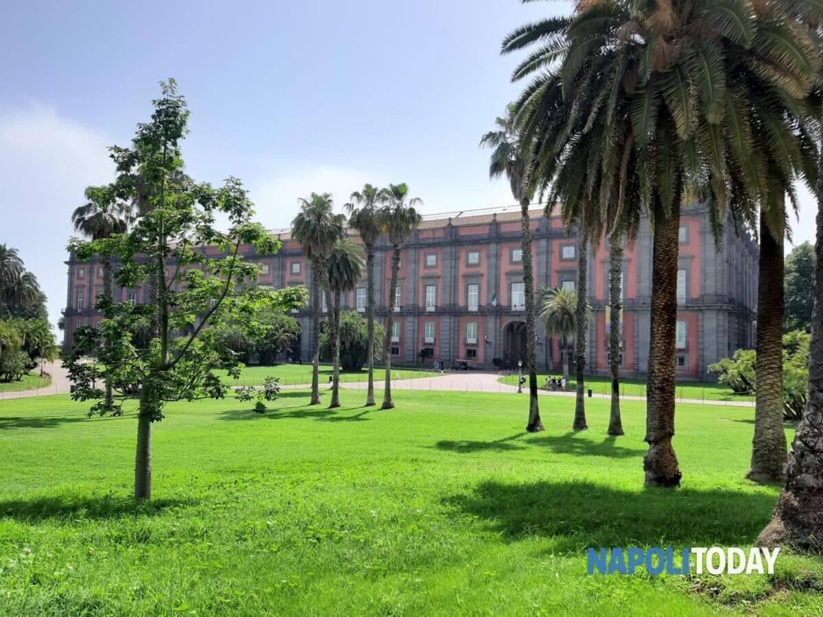 La Casita Nel Bosco Apartment Napoli Ngoại thất bức ảnh